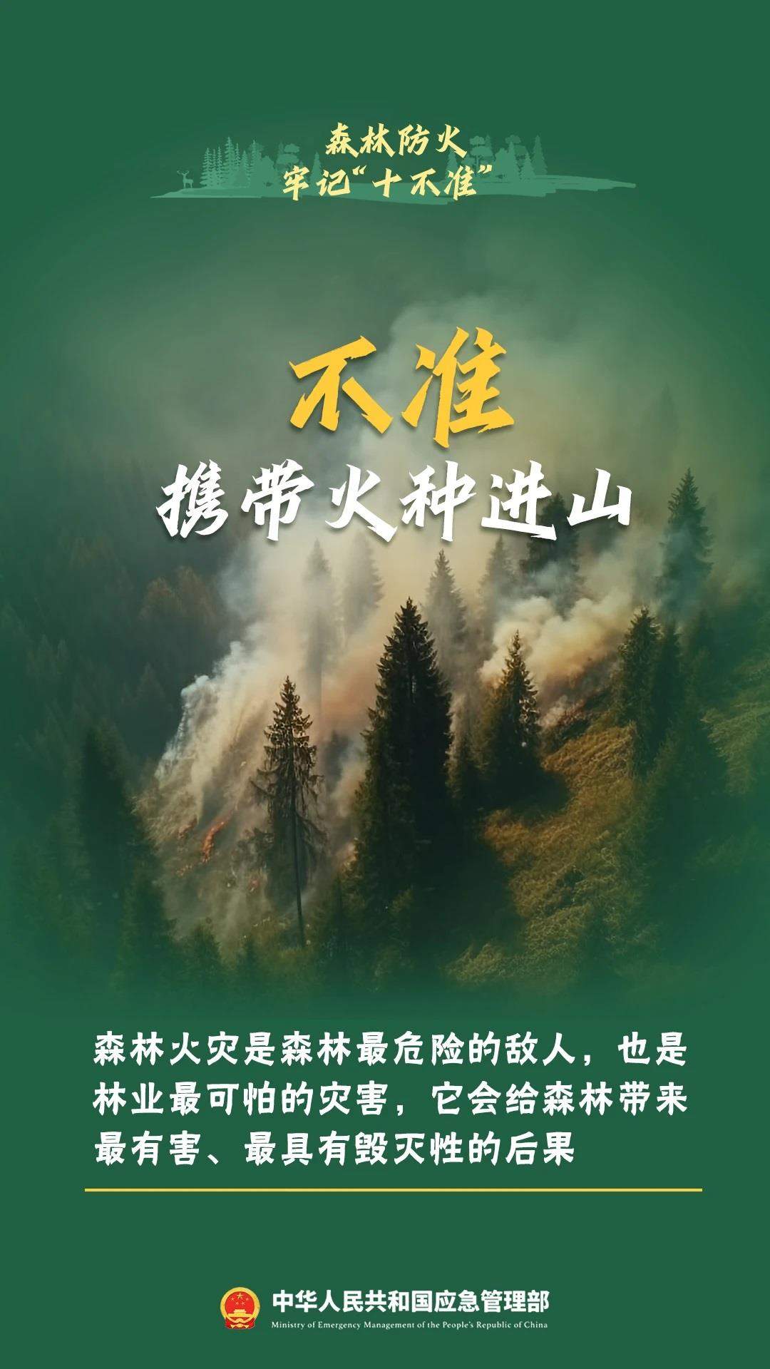违规野外用火危害大森林防火十不准一定要牢记