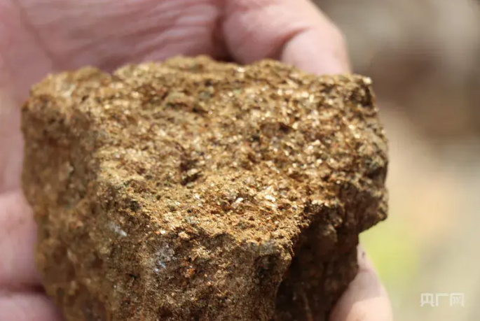 大连8岁男孩爬山发现金矿线索！后续来了