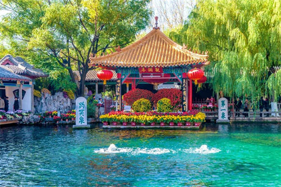 趵眼｜“千泉之城”的活力密码：人守泉涌，泉润人心