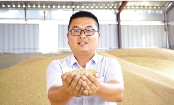 从“新农人”到“兴农人”——济南三位年轻“头雁”的扎根与共富故事