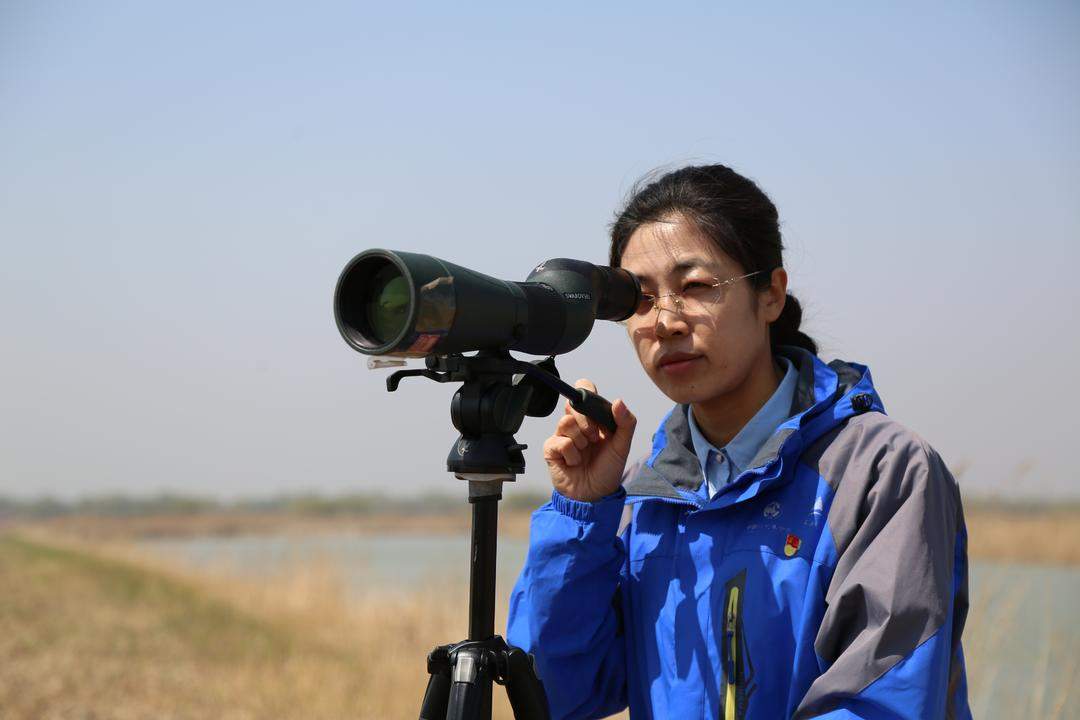 五四青年节特别报道丨挺膺担当，山东青年以青春之笔答时代之问