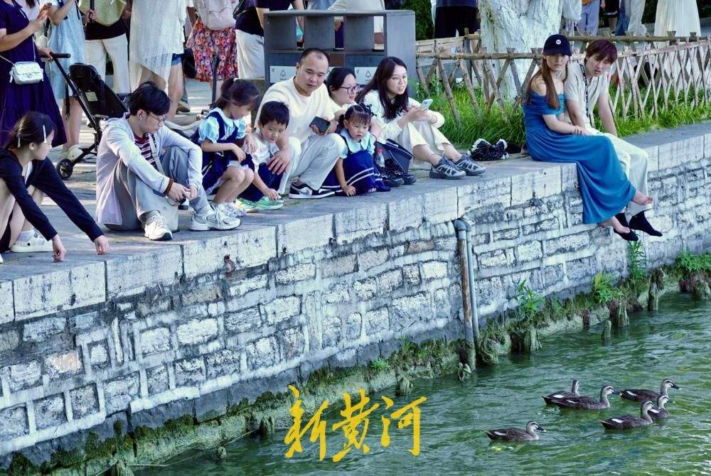 凉风习习，市民游客围坐湖堤享惬意“吹风时光”