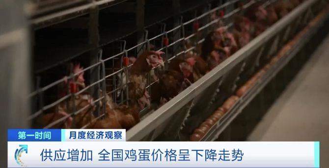 需求减少、供应增加 全国鸡蛋价格呈下降走势