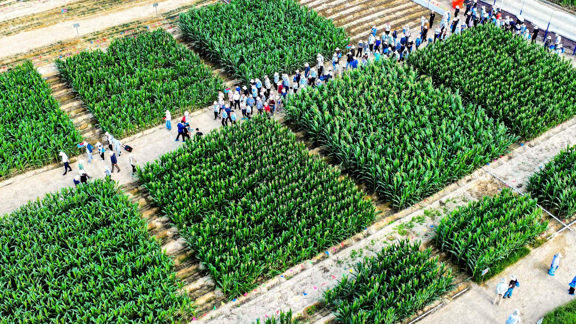 开局之年看中国丨开放自贸港 海南新活力