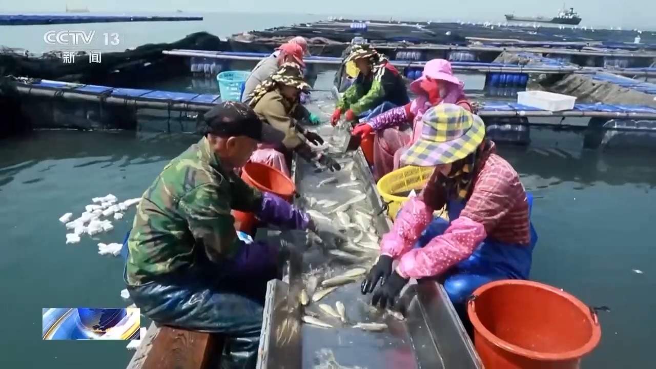 田间海上春耕忙 智能设备描绘出一幅幅“数字春耕图”