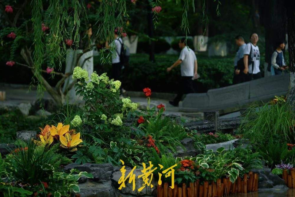 泉流伴繁花 雾森送清凉 济南趵突泉打造夏日亲水游园新场景