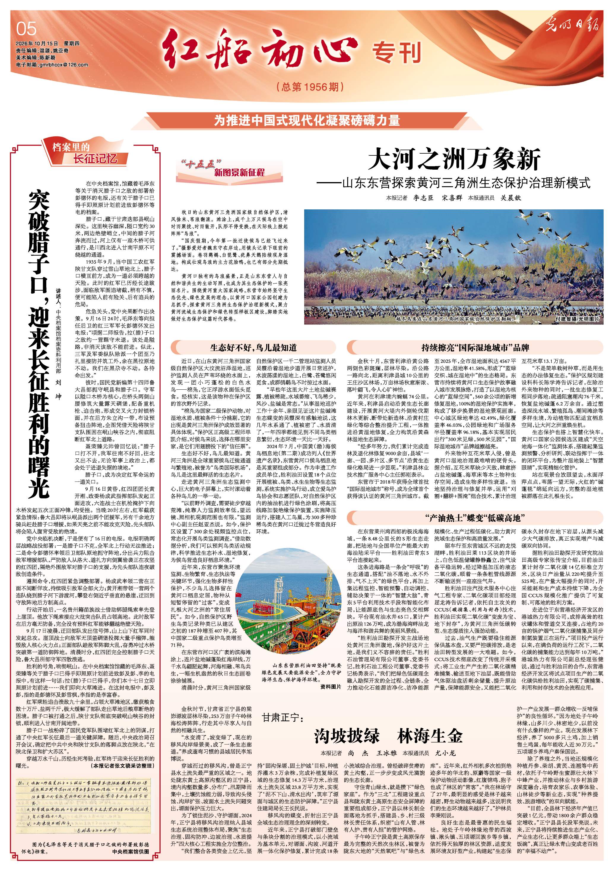 大河之洲万象新——山东东营探索黄河三角洲生态保护治理新模式