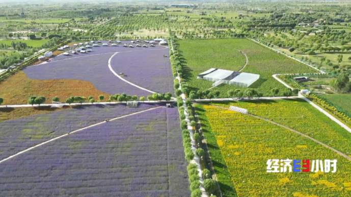 沙漠变绿地、变耕地 我国率先实现土地退化“零增长”