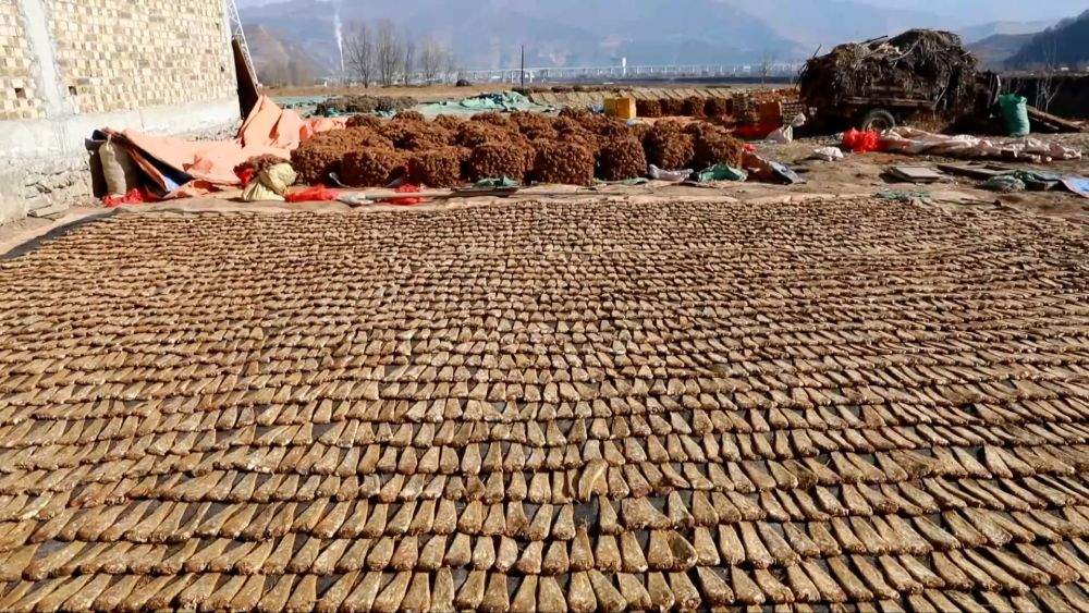 新华视点｜深耕产业提质增效 以创新激活高质量发展新引擎