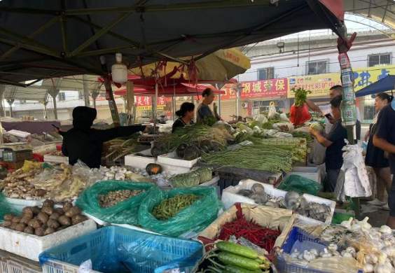 一根黄瓜近5元！济南菜价持续上涨 专家：近期仍有小幅波动上涨的可能