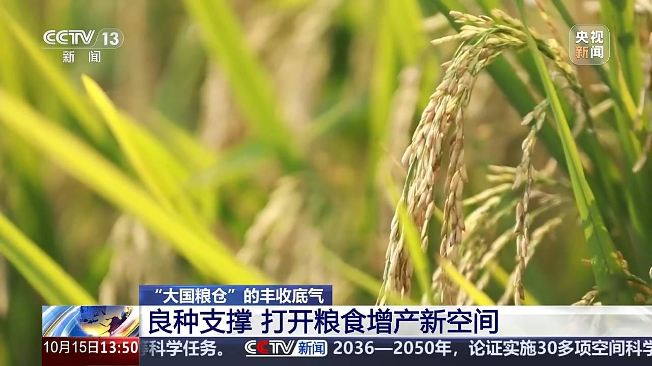 耕地面貌一新、“小众农机”奔跑田间 这些是农田里的新“丰”景