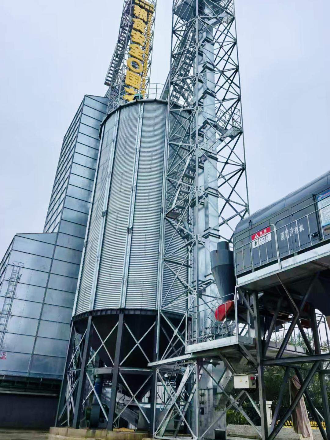 抢烘、待收有序，万亩秋粮保归仓