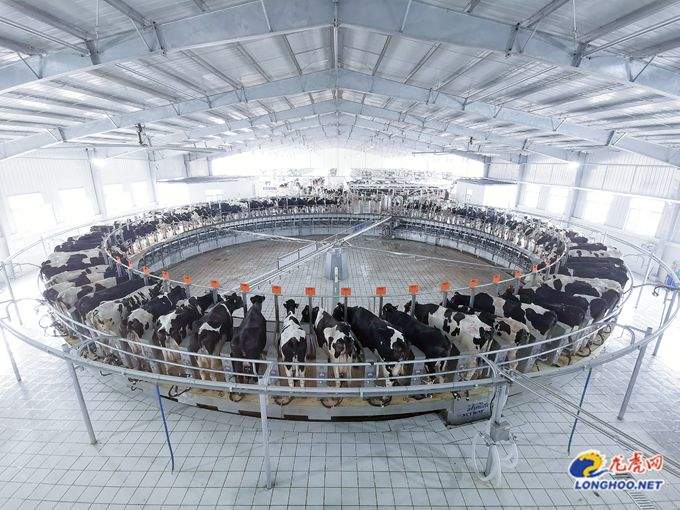 在南京，质量是什么？