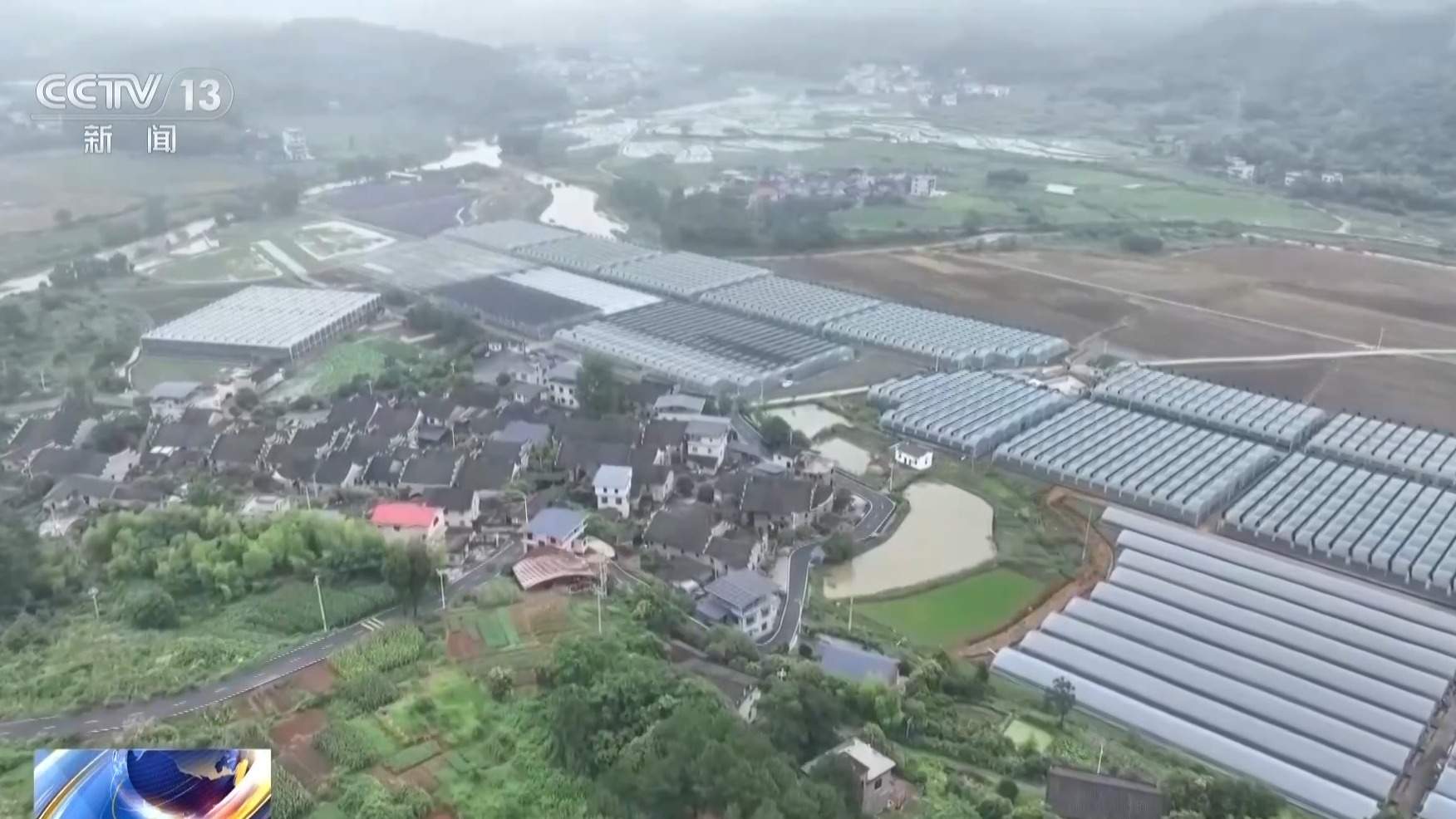 应对台风“白海豚” 各地多举措保障百姓“菜篮子”