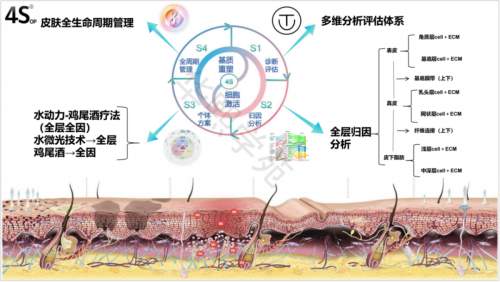 破局引领，重构信任：润致4S美塑·水动力诊疗体系全国首发