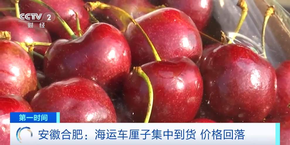 批发价同比降20%!车厘子价格回落 海运供应高峰将至