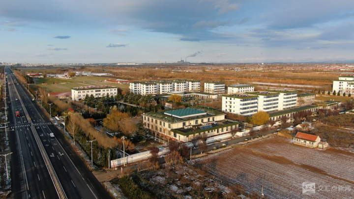 经济大省挑大梁·高手在“民”间|五谷丰登,诠释何以“新鲁商”