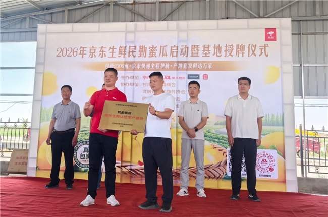 从5万人种梭梭到“包圆”2000亩蜜瓜：一场民勤治沙的公益接力