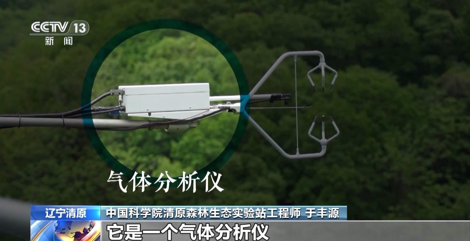 每片叶子都能查！三座巨塔就能监测整片森林