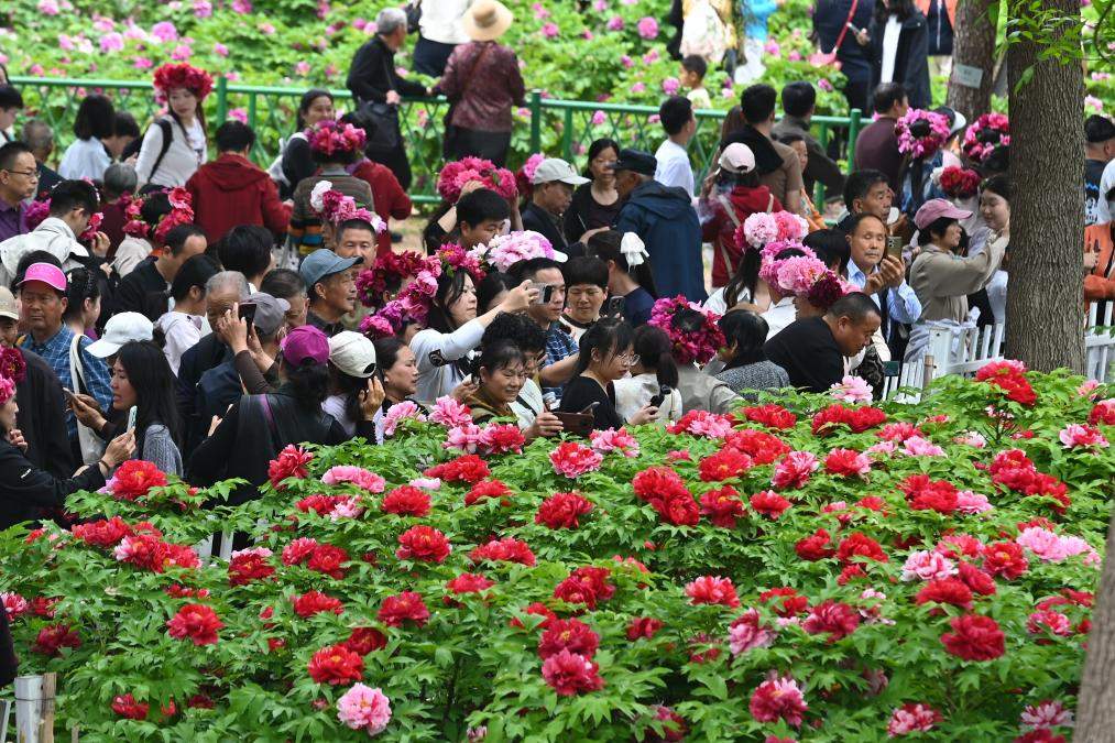 节令之美丨谷雨：山海之间春意浓