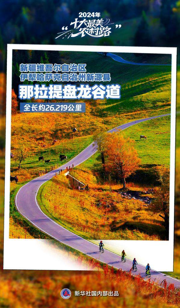 2024年“十大最美农村路”公布，一起去看“诗和远方”吧