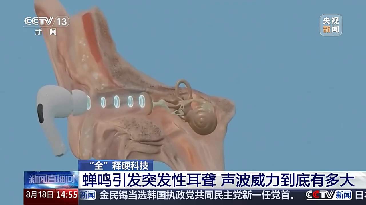 蝉鸣引发突发性耳聋,声波威力到底有多大?