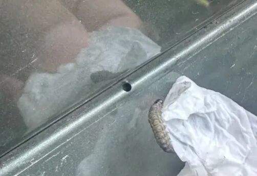 车上莫名其妙出现小圆洞，不少人已“中招”，专家提醒