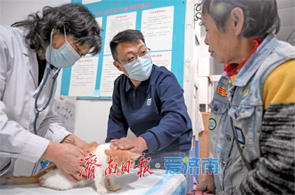 “单大夫”的接力棒:三代兽医,一部动物诊疗发展史