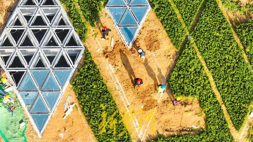 地铁出入口披绿装 融入济南城市公园绿肺