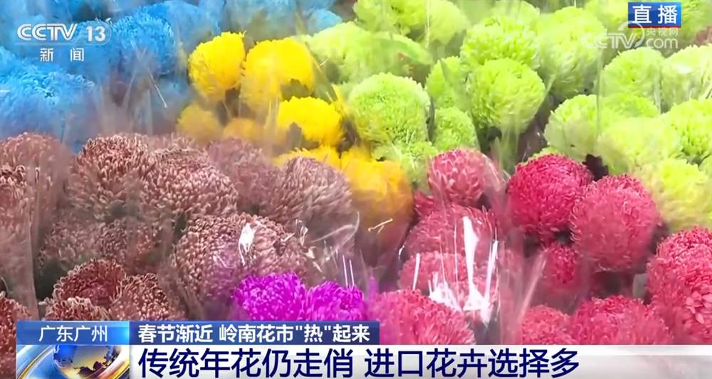 花市“热”起来涌动节前消费暖流 浓浓“年味”映射出中国市场韧性强、活力足