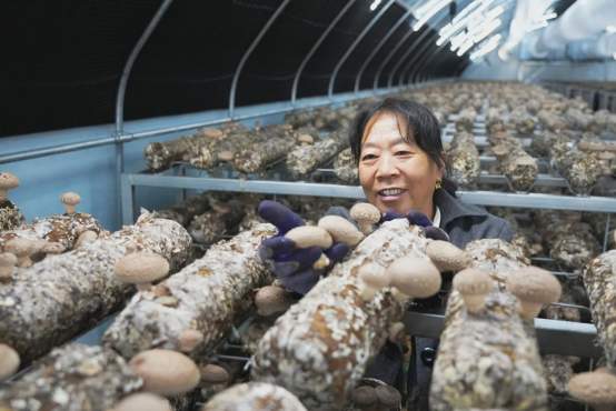 融媒·深调查｜“红”得快也“凉”得快：网红店如何面对“生长之痛”