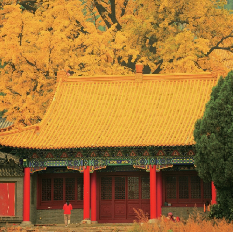 持续地在济南散步