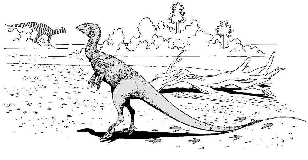 我国科学家揭示早侏罗世兽脚类恐龙行为奥秘