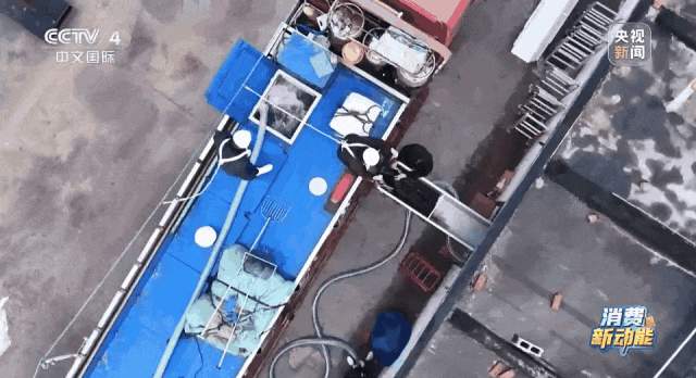 三文鱼的价格打下来了？追更《海洋牧场转场记》