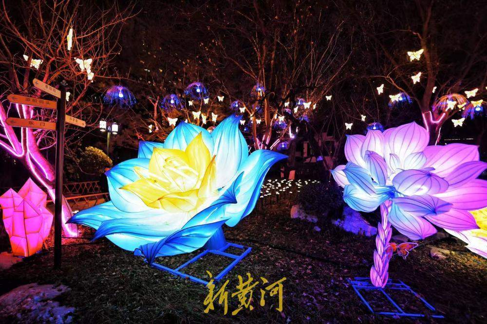 泉城年味渐浓 五龙潭花灯悄然点亮