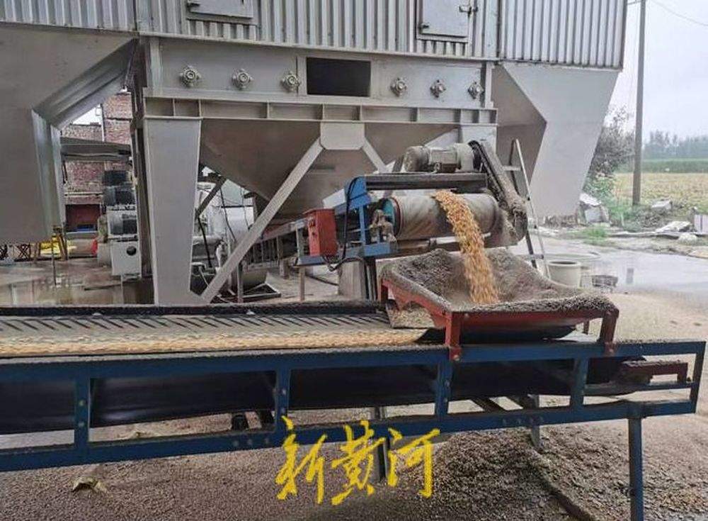 履带式收获机、粮食烘干塔齐上阵 济南种粮大户多举措护秋粮颗粒归仓