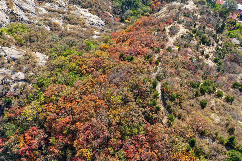 济南起步区鹊山生态文化区博览园规划公布，鹊山周边将迎华丽蝶变