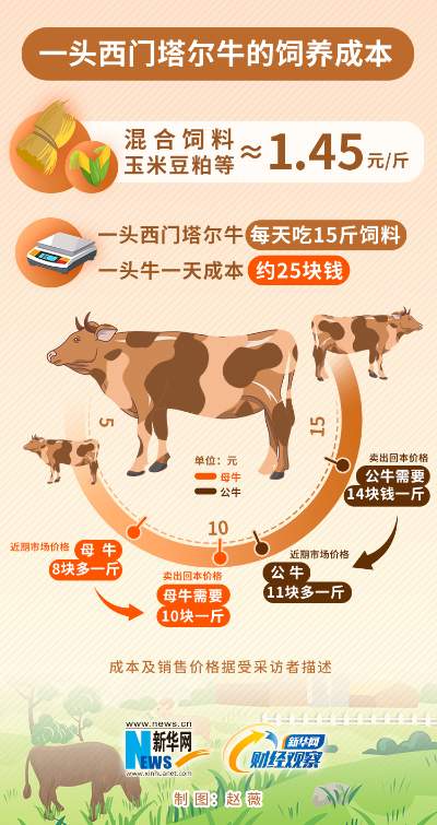 肉牛养殖户困局待解