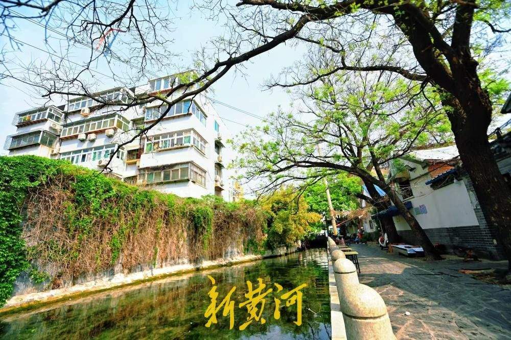 济南：小桥流水人家 春日于家桥景如夏