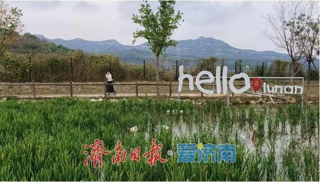 乡村游旺起来，泉城秋日有新景