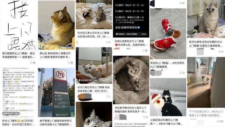 养宠人提前找好临时“保姆” 宠物寄养预定有点火