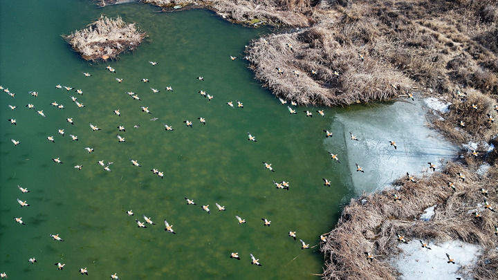 “两山”理念改变中国引领时代