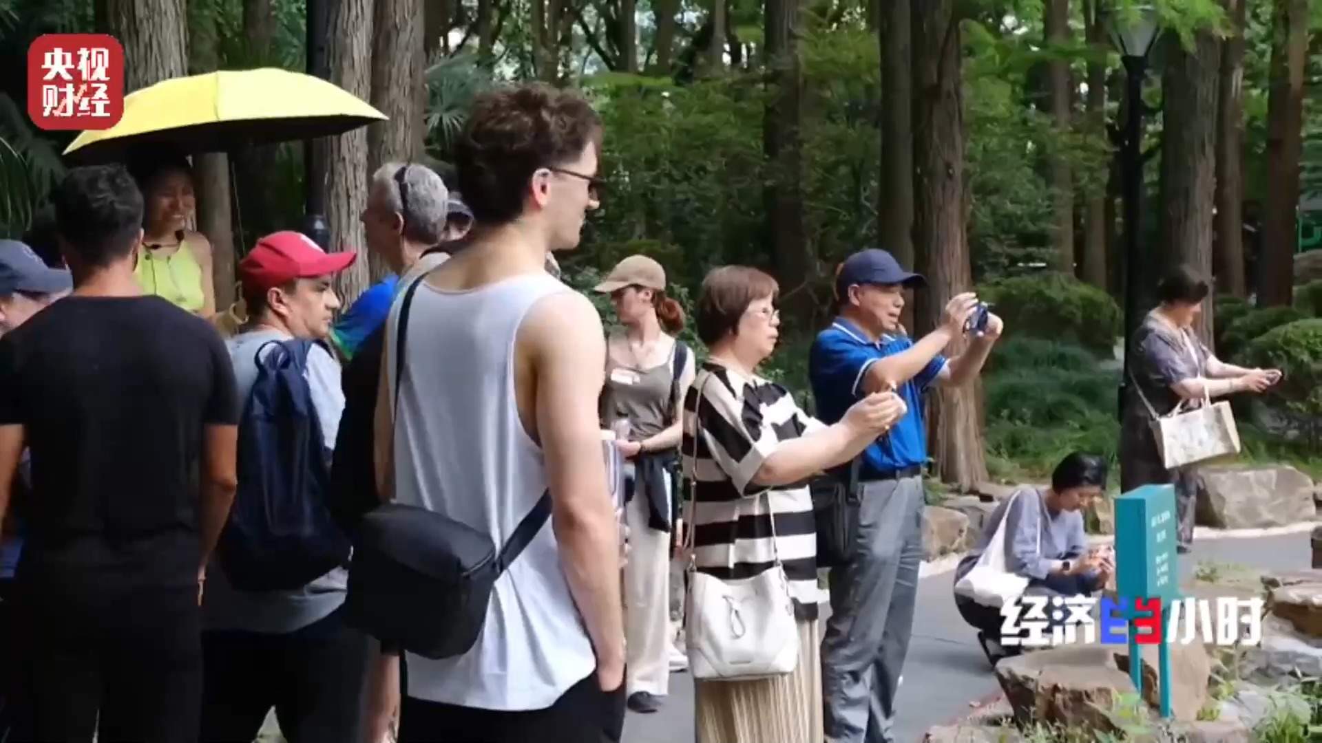免签“朋友圈”扩增至55国！“中国游”“中国购”持续升温