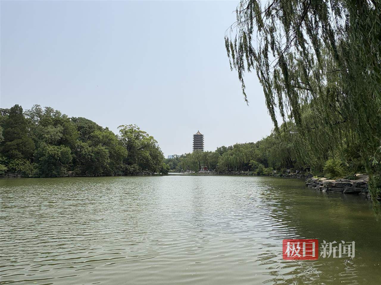 记者实探北大未名湖:部分区域设防护链,保安称取水取土“绝对不允许”