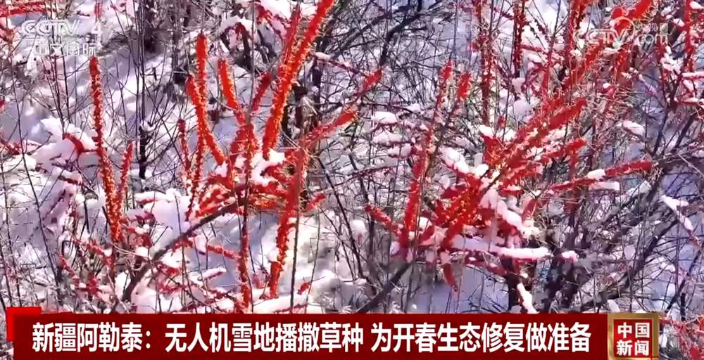 多地一批重大项目陆续启动 重点工程建设迎来“开门红”