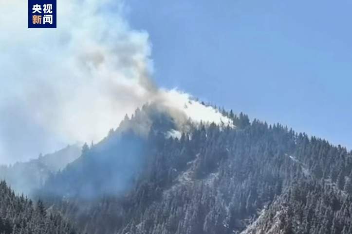 甘肃省甘南州夏河县达麦乡发生一起山火 未接到人员伤亡报告