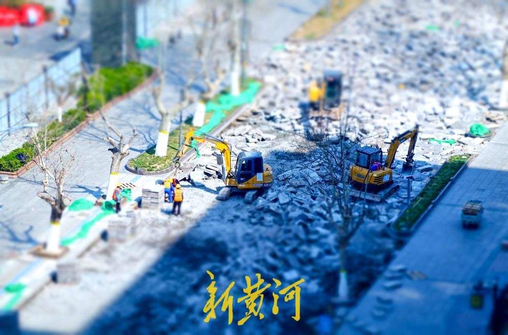 济南泉城路这段石板路拆除换新，道路两侧法桐树同步修剪