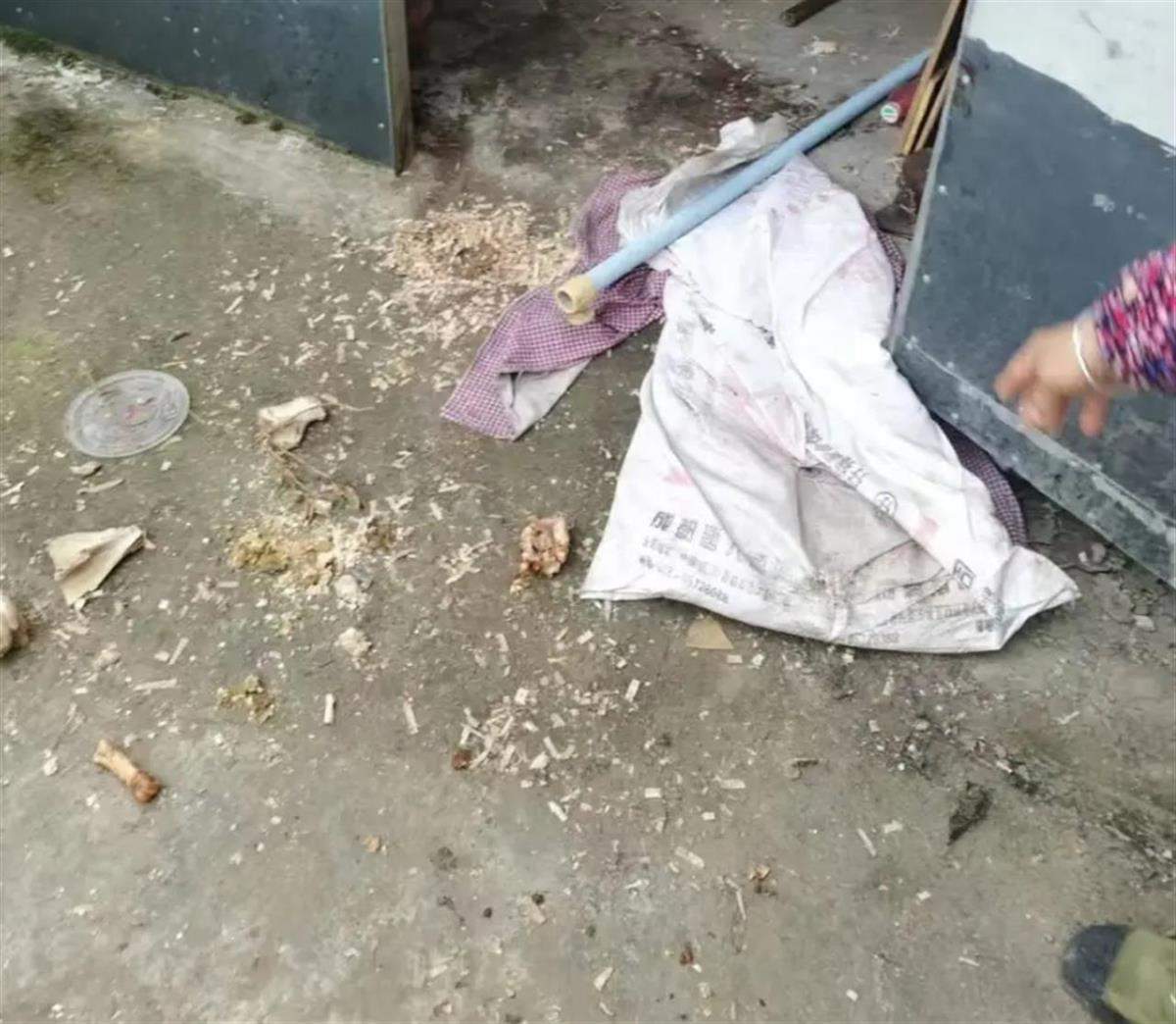 四川遭黑熊袭击的夫妻均无生命危险：保险公司会赔付，打死的黑熊将用于科研