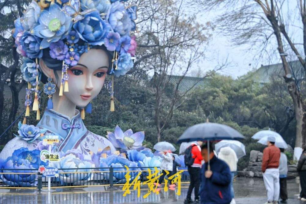 “湖畔雨荷2.0”雨中受追捧