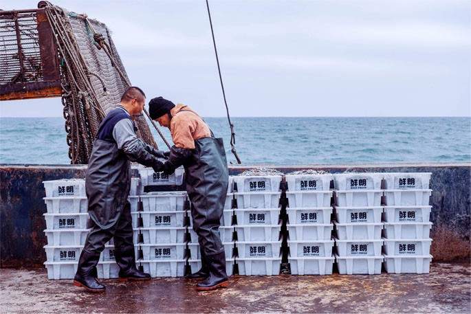 品质消费新标杆！鲜朗获评“年度人气消费产品”，推动宠物食品行业向高品质发展